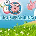 Piggs Peak Bingo